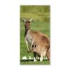 Beach Towel 'Känguru Australia' Badetuch