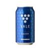 Vale Brewing New World Lager 4.5 % vol.