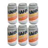 Hahn Super Dry 3.5 Beer Can 3.5 % vol.